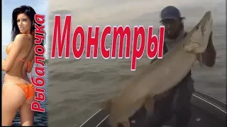 Огромные щуки на спиннинг!!!Речные МОНСТРЫ!!!Рыбалка 2018.