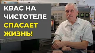 Квас на ЧИСТОТЕЛЕ от Болотова...