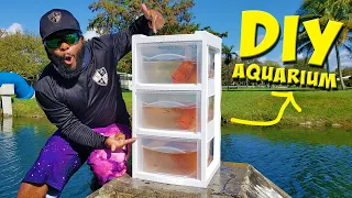 DIY Plastic Drawer Aquarium Catching Exotic Pet Fish
