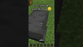 ты 100% не знал об этом😏😁 #майнкрафт #minecraft #ohio #бирка