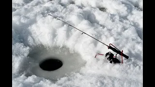 PESCA no GELO | PESCARIA TODO DIA