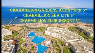 Charmillion - 3 отеля 5* на одной территории Sea Life, Сlub Resort, Gardens Aquapark  - Бухта Набк!