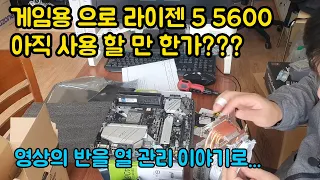 라이젠 5 5600 아직 게임용으로 사용 가능한가