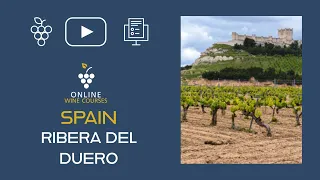 Wines of Ribera del Duero | Spain🍇Online Wine Courses ➡️ with QUIZ