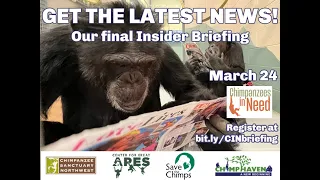 Chimpanzees in Need Insider Briefing - March 24, 2023