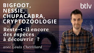 BIGFOOT, NESSIE, CRYPTOZOOLOGIE, RESTE-IL-IL ENCORE DES ESPÈCES A DÉCOUVRIR ?