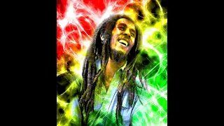 BOB MARLEY LEVEL THE VIBE'S  BLEND