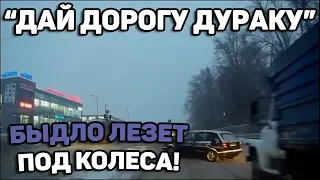 Автоподборка "Дай дорогу дураку"🚙 Быдло лезет под колеса#76