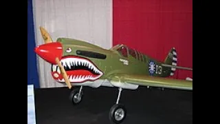 P-40N by SkyShark  Large scale warbird video file
