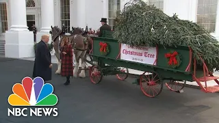 President Donald Trumps Welcome White House Christmas Tree | NBC News