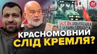 ШЕЙТЕЛЬМАН / СУМЛЕННИЙ: Скандал! Плакат ПУТІНА на протестах у ПОЛЬЩІ / Кремль ШОКУВАВ Німеччину!