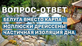 Обслуживание и создание прудов. Ответ ихтиологам. Вопросы по рыбоводству и эксплуатации водоёмов