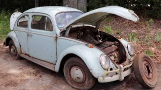 Barn Find | Forgotten VW Beetle found sitting 32 years | Rescue & Clean.