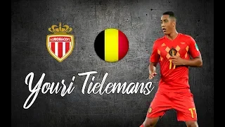 Youri Tielemans ● Skills , Long Passes , Goals ●│2018 - 2019│►HD