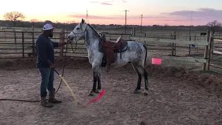 The RIGHT Way To Form An Unbreakable Bond With Your Horse