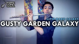 "Gusty Garden Galaxy" from Super Mario Galaxy | ft. Thomas Law, flute | Purple Comet Orchestra