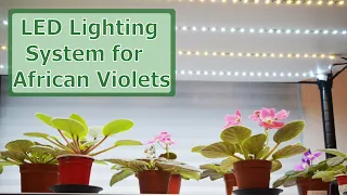 How to make an LED Lighting System for your African Violet Plants