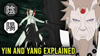 Yin and Yang Release Explained