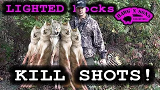 Fastest 5 Coyote KILL SHOTS Ever - BowHunting Whitetail Deer Lighted Nocks