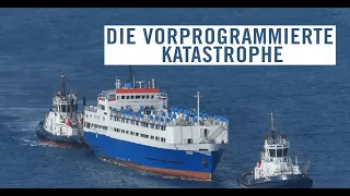 Tiertransporte per Schiff - die vorprogrammierte Katastrophe