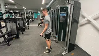 Single arm cable bicep curl (D handle)