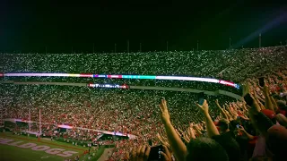 Georgia vs. Mississippi State - 4th Quarter Lights