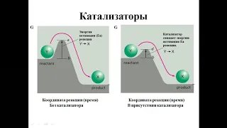 Лекция № 3  Общие свойства ферментов  Номенклатура   Механизм действия ферментов Часть 1