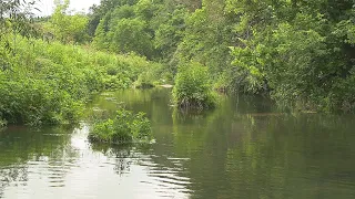 Fly Fishing the South Fork Root River, Minnesota