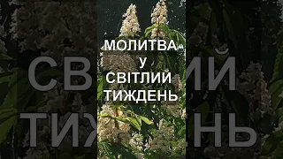 Сильна молитва у Світлий тиждень #shorts #молитвадня