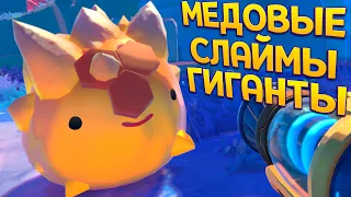 МЕДОВЫЕ СЛАЙМЫ ГИГАНТЫ ( Slime Rancher 2 )