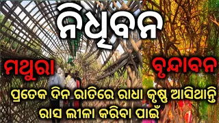 Nidhivan ।। Realty of Nidhivan।।ରାସ ଲୀଳା ଦେଖିବାକୁ ଜିଏବି ଚେଷ୍ଟା କରିଛି ତାର ମୃତ୍ୟୁ ନିଶ୍ଚିତ