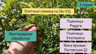 Элитные семена по No-Till. 3 серия.