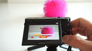 Sony RX100 VII tutorial - How to shoot slow motion with Sony RX100 VII