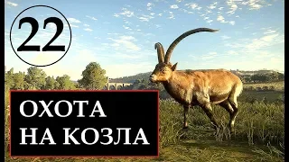 TheHunter Call of the Wild ОХОТА НА БЕСЕЙТСКОГО ГОРНОГО КОЗЛА # 22