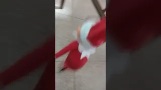 Elfo navideño haciendo travesuras