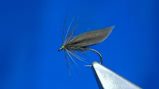 Tying a Waterhen Dun Soft Hackle Wet Fly with Davie McPhail