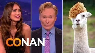 Megan Fox Assigns Conan His Spirit Animal