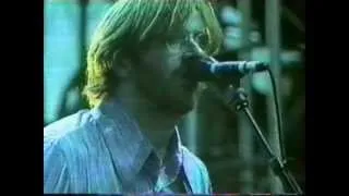 Phish Big Cypress Y2K NYE Florida