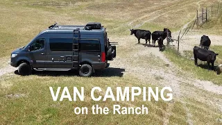 Relax and enjoy van camping in the nature of the ranch [Camping, Van Life, Campingfood]