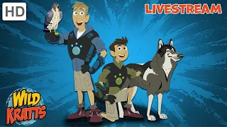 🔴 LIVE - Wild Kratts FULL EPISODE MARATHON 🐼🦒