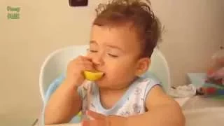 Babies Eating Lemons for the First Time Compilation 2014 NEW HD