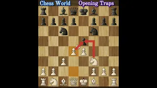 ChessTrap that every beginner should know! #shorts #chess|| Chess World|| Chess TRICKS to WIN   fast