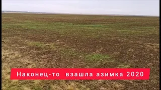 FARMING 2020,  Пошли дожди и взошла все озимая пшеница спасибо тебе господь!!