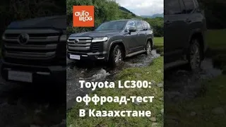 Toyota Land Cruiser 300 (Тойота Ленд Крузер 300): оффроад-тест в Казахстане