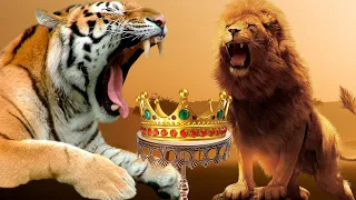 Why isn't TIGER the KING OF THE JUNGLE? - LION VS TIGER