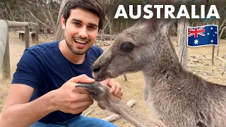 Can you Hug a Kangaroo? | Australia