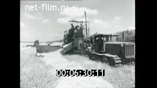 1964г. совхоз Темижбекский Ставропольский край