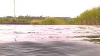 Водонепроницаемый чехол для телефона 5.8 дюйма крокодил в воде.