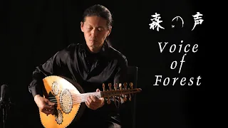 "Voice of Forest" Ambient Oud Music for wellness, meditation - Nao Sogabe