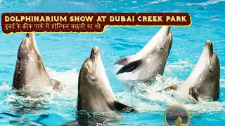 Dubai Dolphin Show । Dubai Dancing Seal Show । Most Popular Dolphinarium Show at Dubai Creek Park